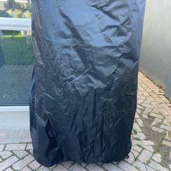 cat home for 2 cats