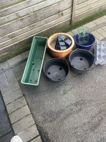 Plant Pots and potting trays