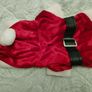 Dog Santa Coat Image 2