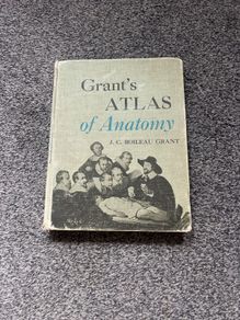 atlas of Anatomy