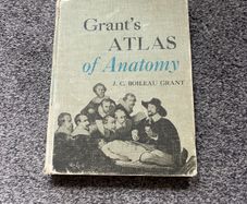 atlas of Anatomy