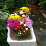 Flower Pot Image 5