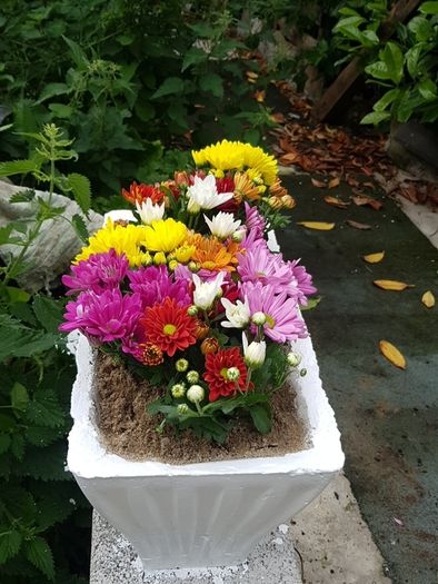 Flower Pot