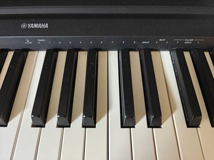 Yamaha P-45 Digital Piano