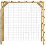 Cimbing Frame with Football Goal 170x60x170 cm Impregnated Pinewood Image 3