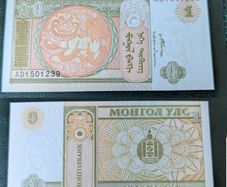 2008 Mongolia One 1 Tugrik Banknote UNC