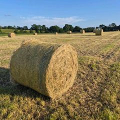 Quality Round Bales Of Hay