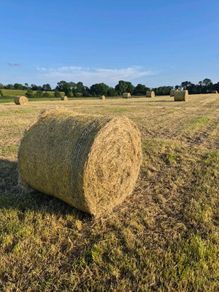 Quality Round Bales Of Hay