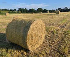Quality Round Bales Of Hay
