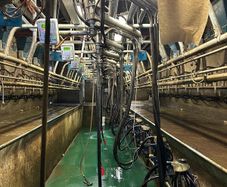 Relief Milker Available
