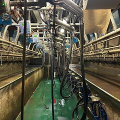 Relief Milker Available