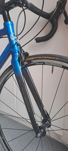 Giant TCR 1