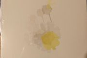 Marine Eyes Chamomile Vinyl Lp Ambient Mediation