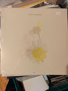 Marine Eyes Chamomile Vinyl Lp Ambient Mediation