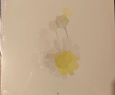 Marine Eyes Chamomile Vinyl Lp Ambient Mediation