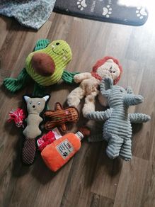 dog toys