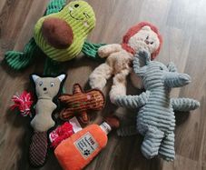 dog toys