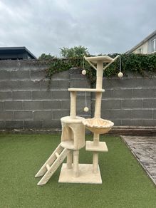 Cat Tower