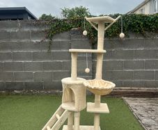 Cat Tower