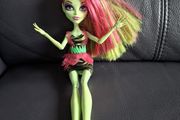 Monster High doll. I believe is Venus McFlytrap