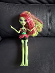 Monster High doll. I believe is Venus McFlytrap