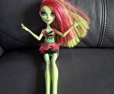 Monster High doll. I believe is Venus McFlytrap