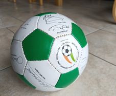 Vintage Ireland USA 1994 World Cup Commemorative Football