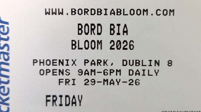 1 x Ticket for Bloom Phoenix Park 29th May 2026