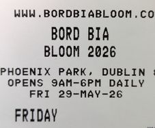 1 x Ticket for Bloom Phoenix Park 29th May 2026
