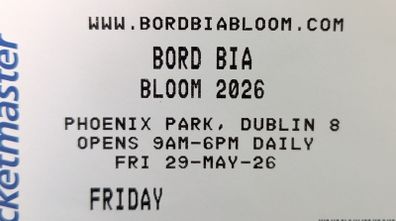 1 x Ticket for Bloom Phoenix Park 29th May 2026