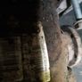 BMW E60 523i  Differential Rear Axle Drive 7540456 3.23 3,23 Image 2