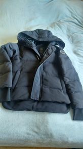 Canada Goose