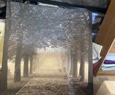 IKEA Pjatteryd Picture Misty Path