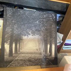 IKEA Pjatteryd Picture Misty Path
