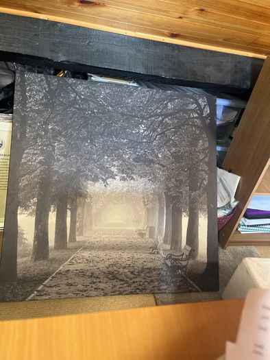 IKEA Pjatteryd Picture Misty Path