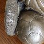 Football and Football Boots Ornament Image 3