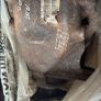Bmw E90 Diff Image 6