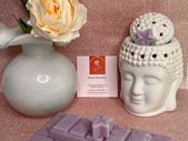 Clonee Wax Melts Snap Bars multi pack