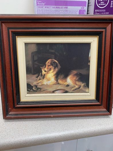 framed prints