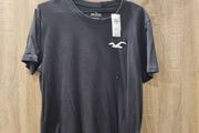 New Mens Hollister T Shirt