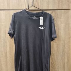 New Mens Hollister T Shirt