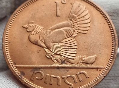 Ireland 1968 | One Penny | Irish 1d | Irish Penny | KM.11 | UNC