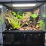 Complete Bio Active Terrarium Image 3
