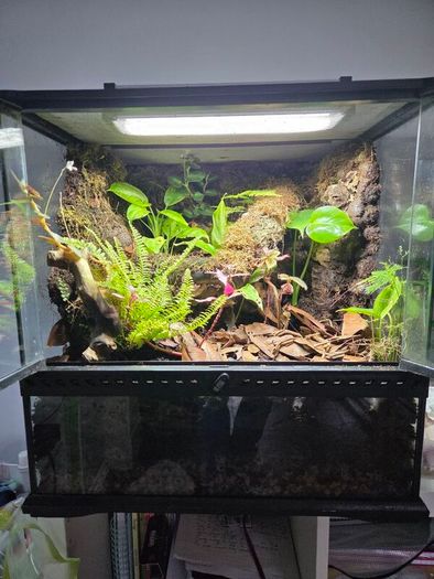 Complete Bio Active Terrarium