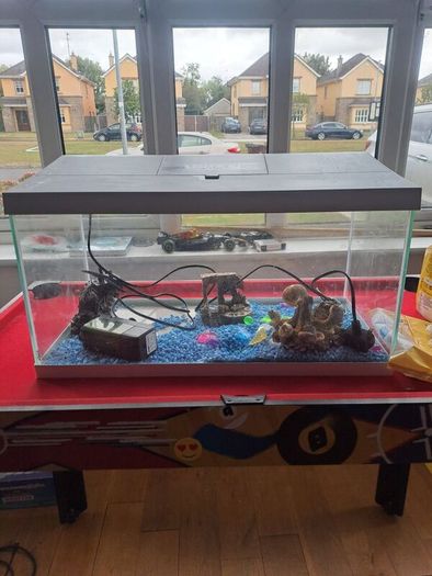 50 Litre Fish Tank