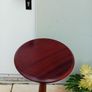 Turned Mahogany Plant Stand Image 2