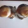 Pair of Vintage Porcelain Owls Image 7