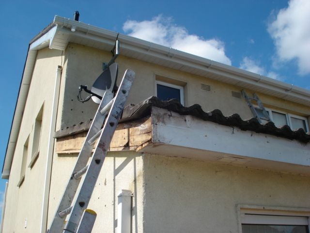 Roof and Gutters Repair, Exterior & Interior Painting, Powerwashing-Cleaning Service