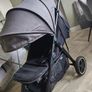 Zip Zummi buggy Image 2