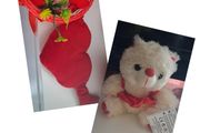 valentines teddies